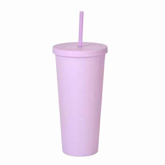 Nouvelle tasse d'eau givrée extérieure de grande capacité en paille en plastique double couche de 22 oz